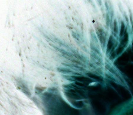 �a vous fait peur ?